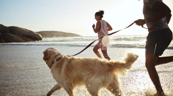 Foraminal Stenosis: Causes, Symptoms, and Treatment Options