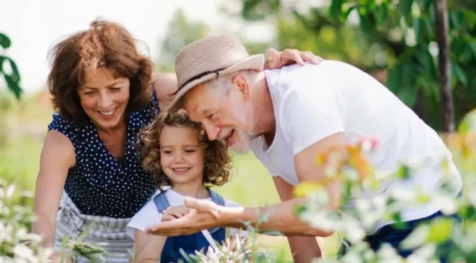 Recovery After Laminectomy: Timeline, Risks, and Pain Relief