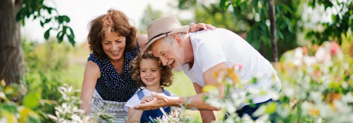 Recovery After Laminectomy: Timeline, Risks, and Pain Relief