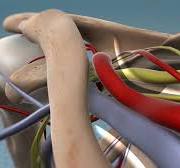 Exercises That Help Relieve Thoracic Outlet Syndrome Pain